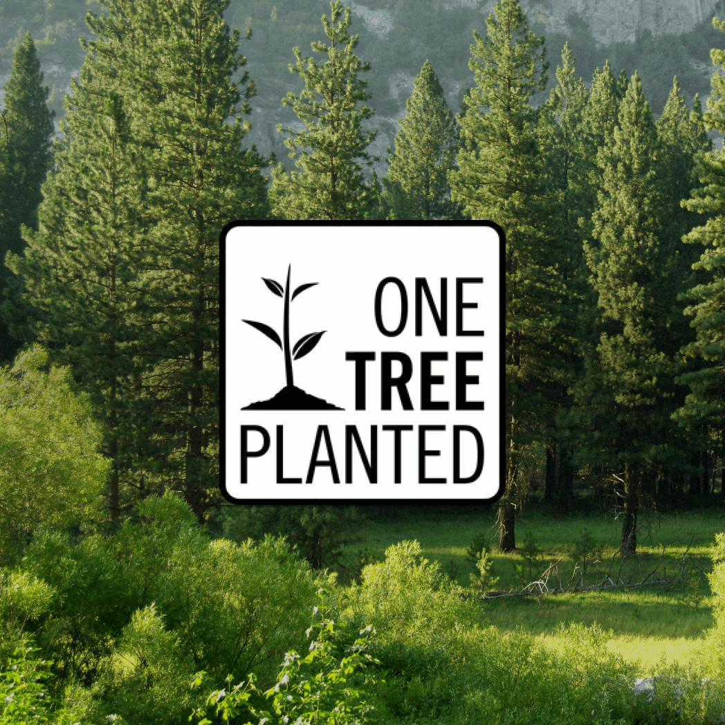 Planta 1 árbol